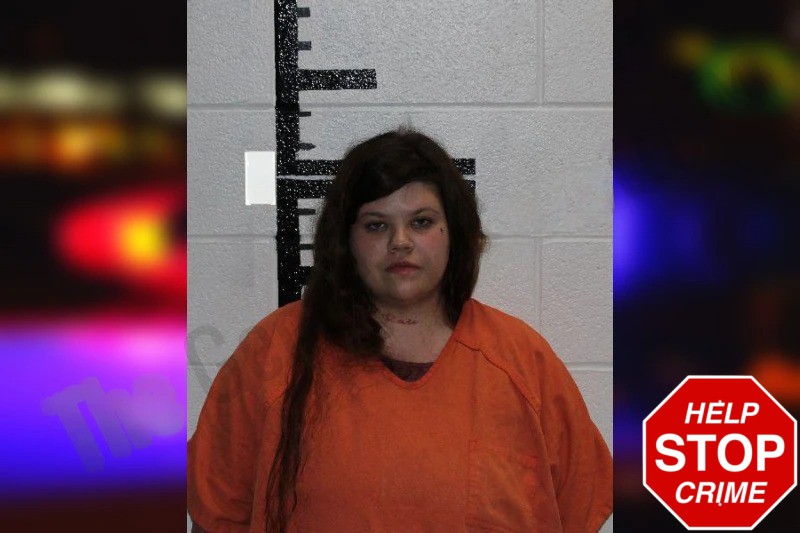 Chelsea Cox Mugshots