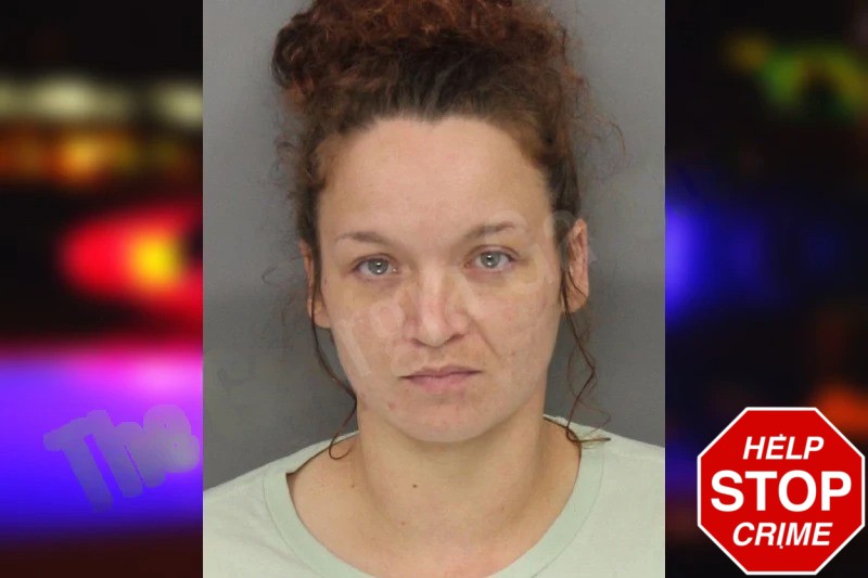 Chelsea Dees mugshot