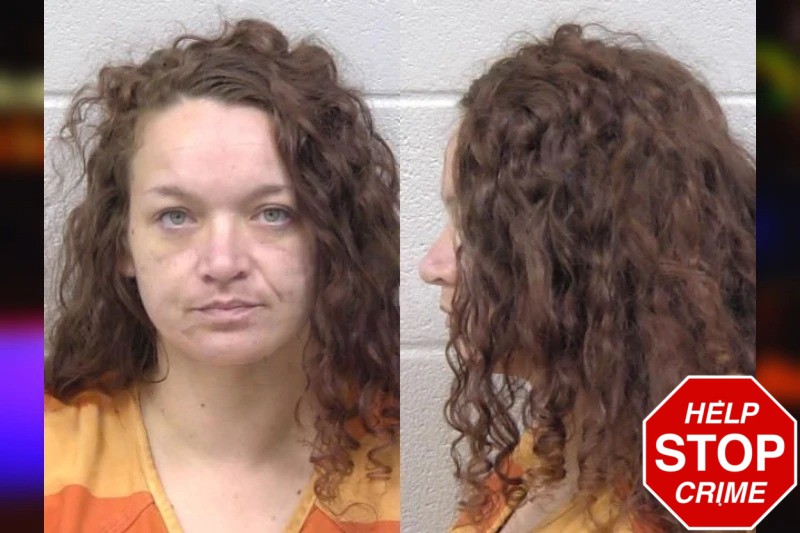 Chelsea Dees Mugshots