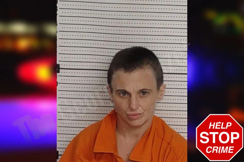 Chelsea Gorman Mugshots