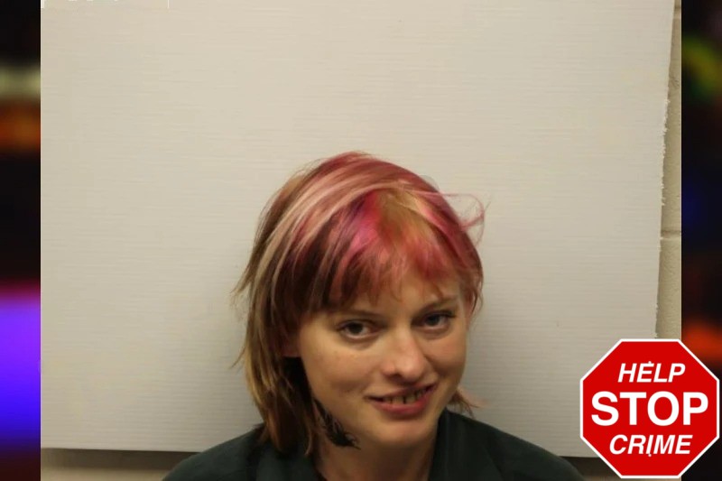 Chelsea McElveen mugshot – Chatham County , Georgia Chelsea McElveen mugshot