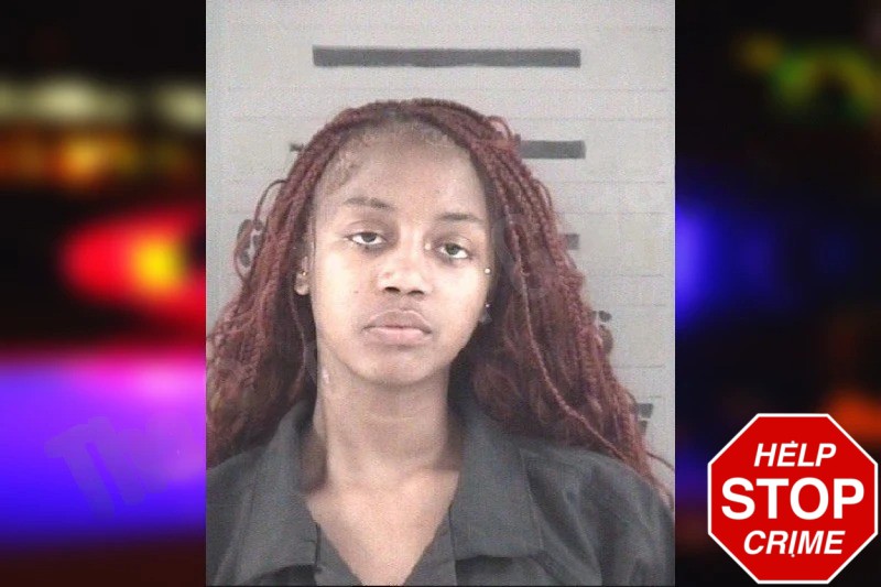Chelsee McClain Mugshots