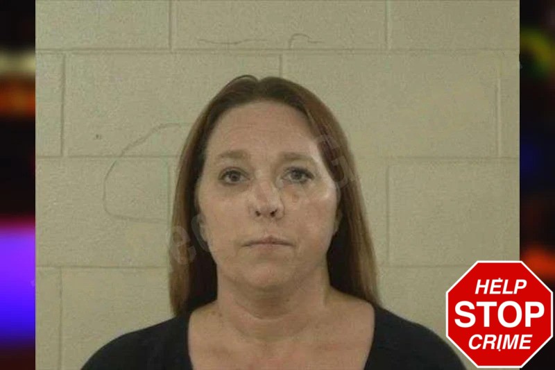 Chelsey Haynes mugshot