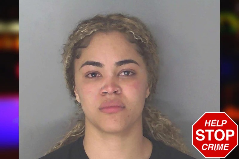 Chelzie Parmer Mugshots