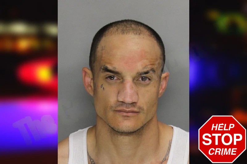 Chendry Garcia Mugshots