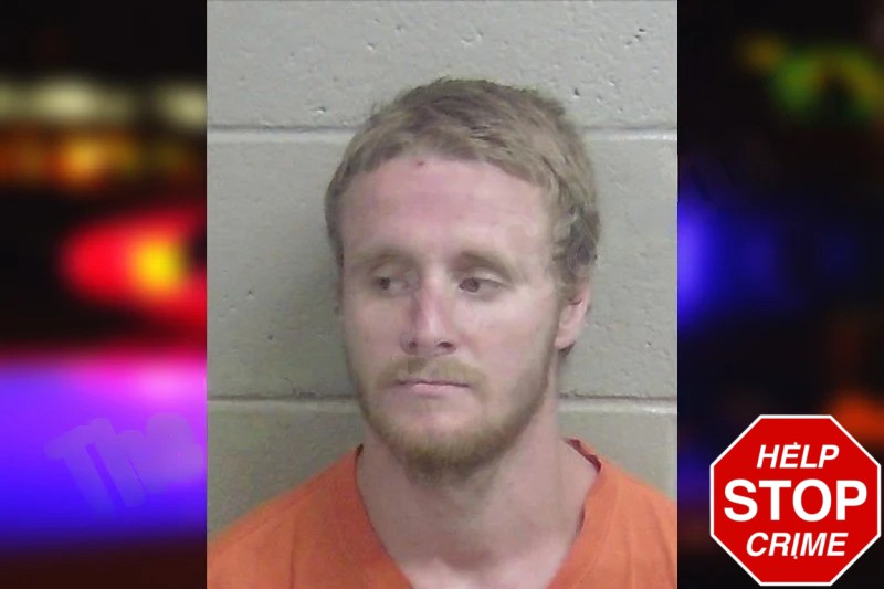 Chene Johnson Mugshots