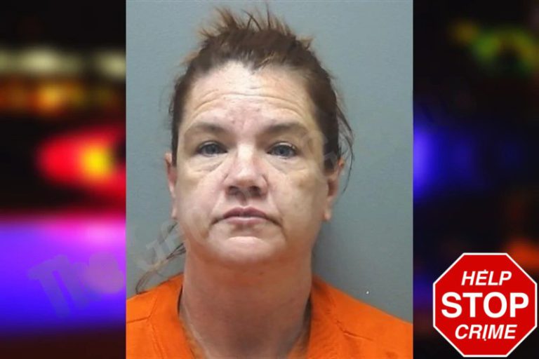 Cheri McCormick mugshot – Cherokee County , Georgia Cheri McCormick