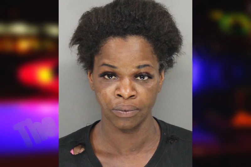 Cherrita Williams mugshot