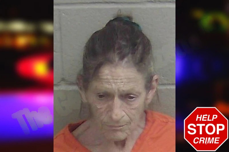 Cheryl Norfleet mugshot