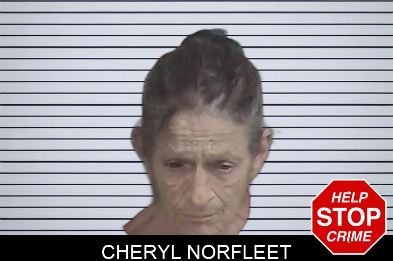 Cheryl Norfleet Mugshots