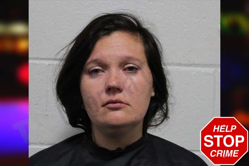 Cheyanne Wheeler Mugshots