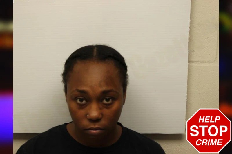 Cheyenne Lewis Mugshots