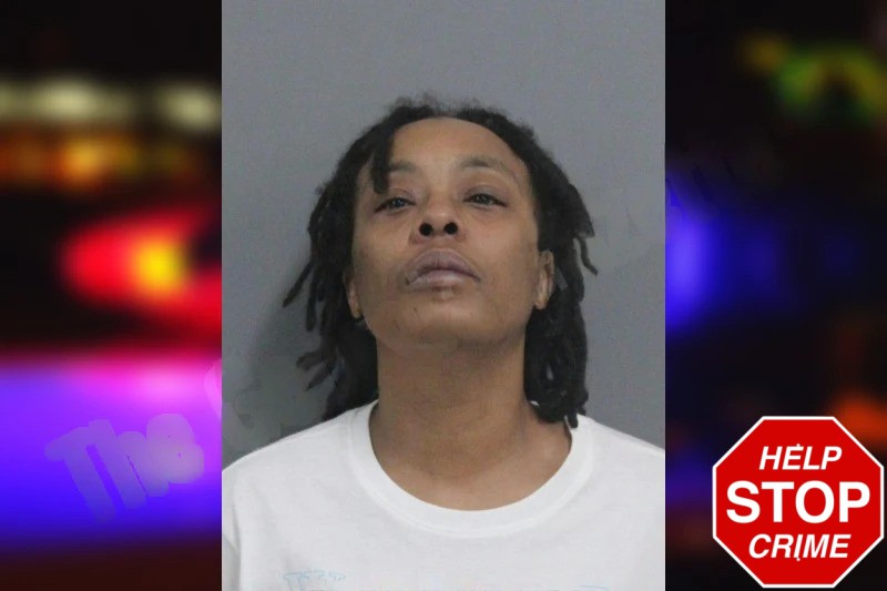 Cheyenne Thirkill Mugshots