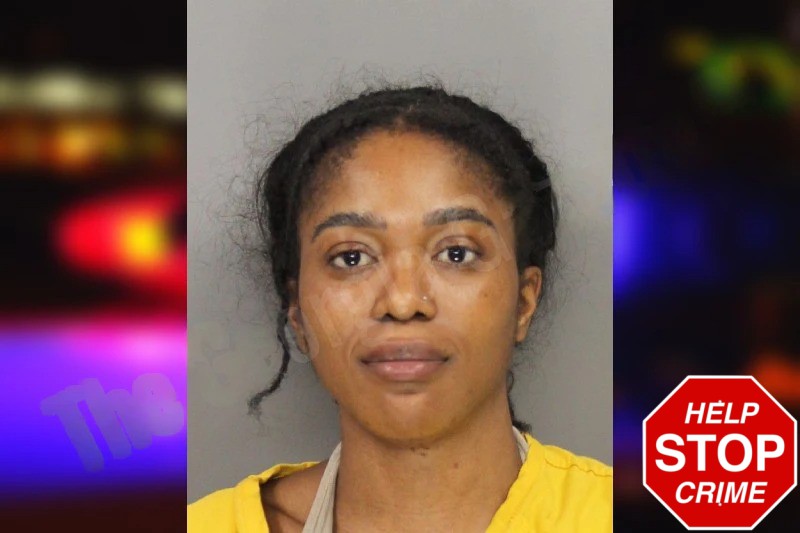 Chigozie Nduka mugshot – Cobb County , Georgia Chigozie Nduka mugshot