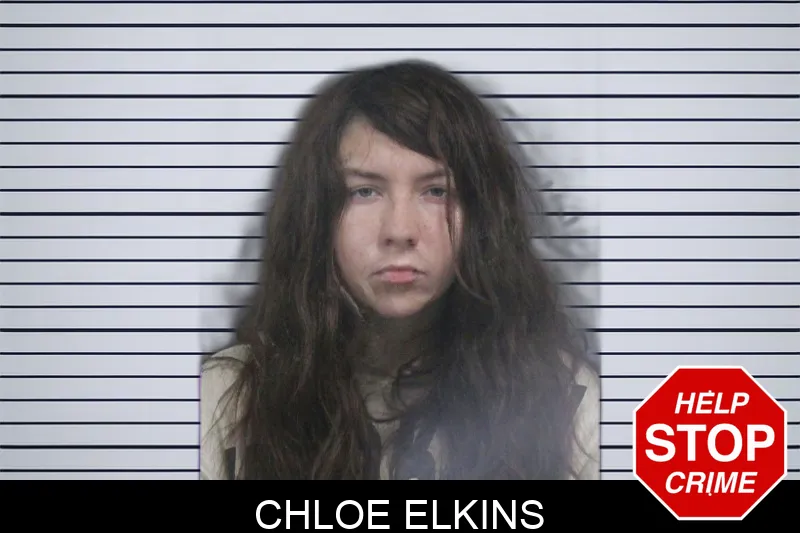 Chloe Elkins Mugshots