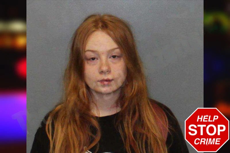 Chloe Meaders mugshot – White County , Georgia Chloe Meaders mugshot