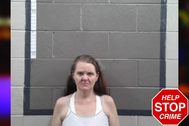 Christa Fink Mugshots