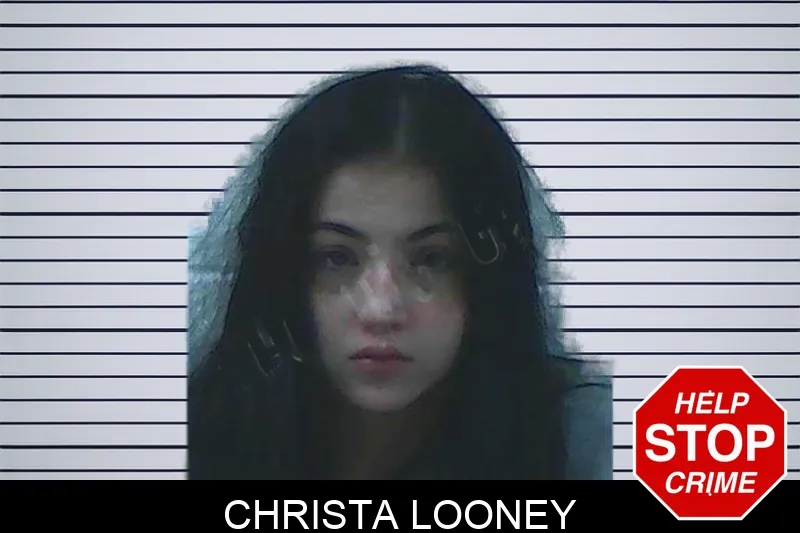 Christa Looney Mugshots