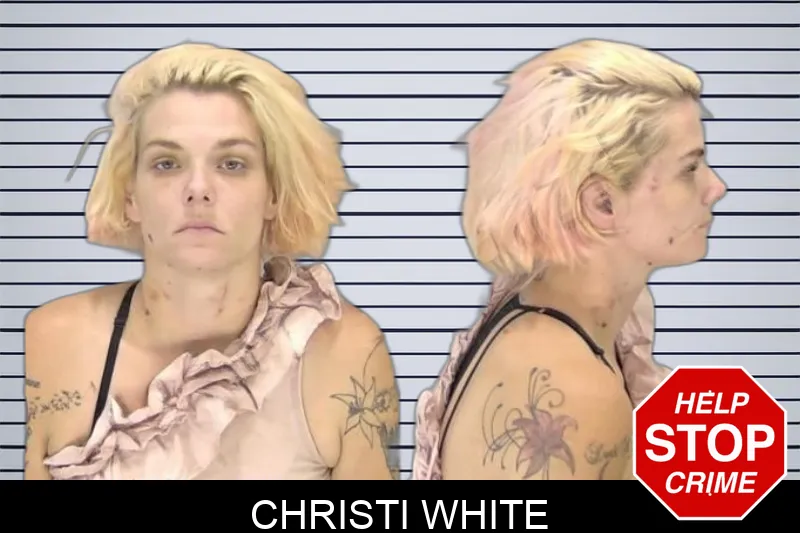Christi White Mugshots