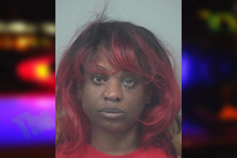 Christina Anguin mugshot