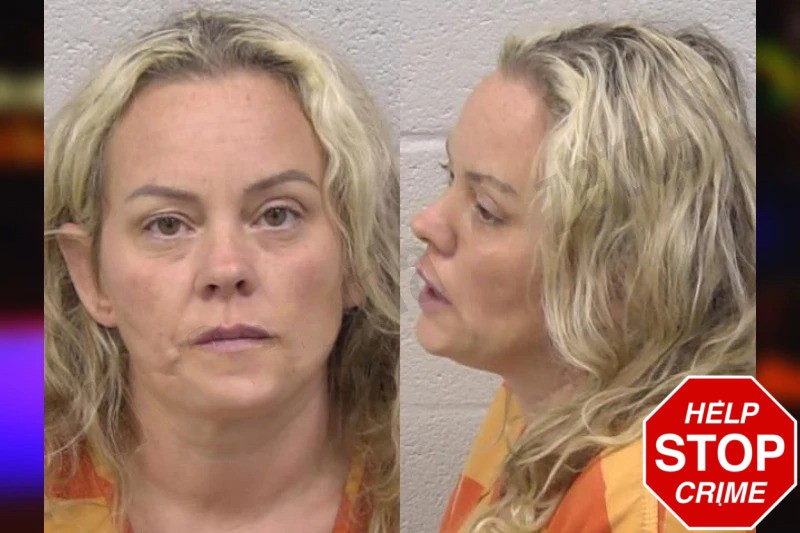 Christina McDonough Mugshots