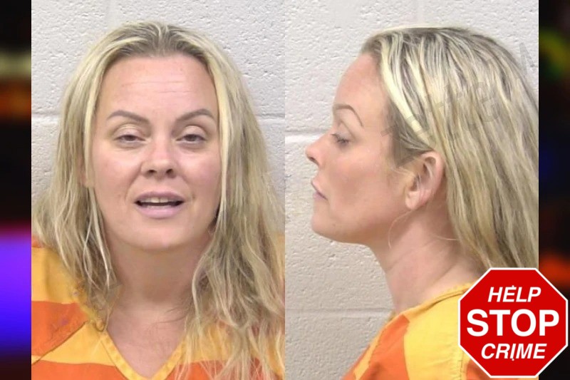 Christina McDonough mugshot