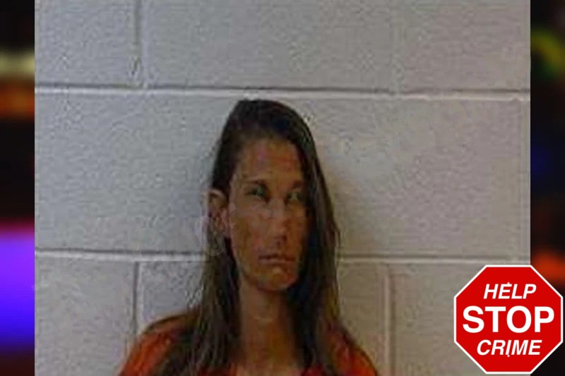 Christina Rogers Mugshots