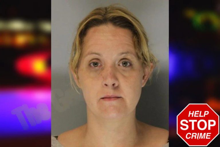 Christina Shaw mugshot – Hall County , Georgia Christina Shaw