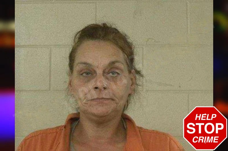 Christina Vangiller mugshot – Liberty County , Georgia Christina Vangiller mugshot