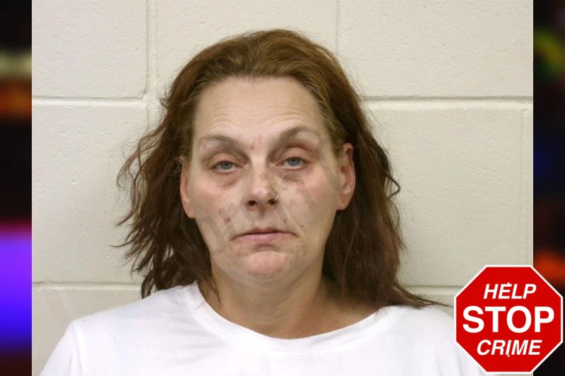 Christina Vangiller Mugshots