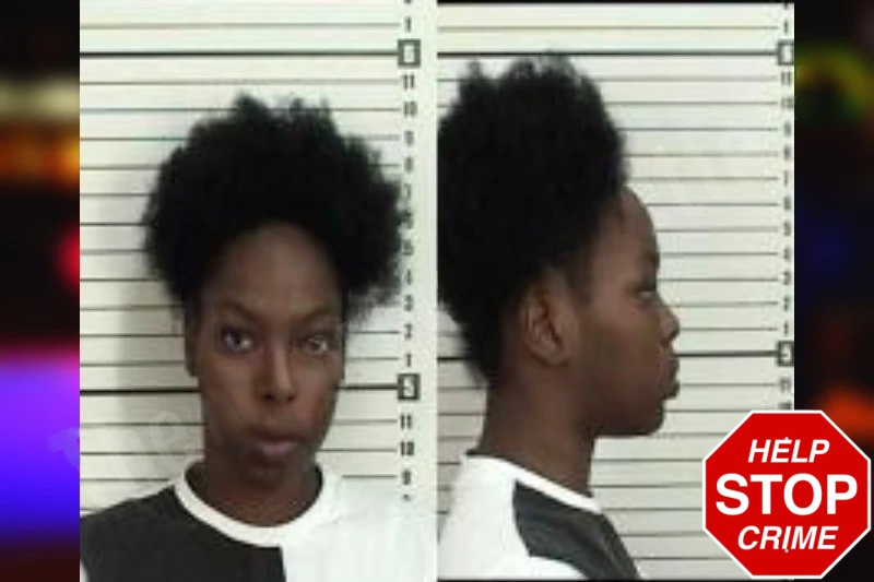 Christina Williams Mugshots