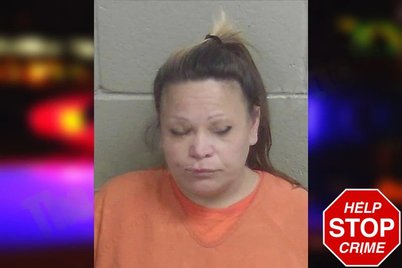 Christine Brachelli mugshot – Wayne County , Georgia Christine Brachelli mugshot