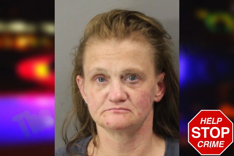 Christine Deleon Mugshots