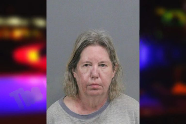 Christine Lamb mugshot – Catoosa County , Georgia Christine Lamb