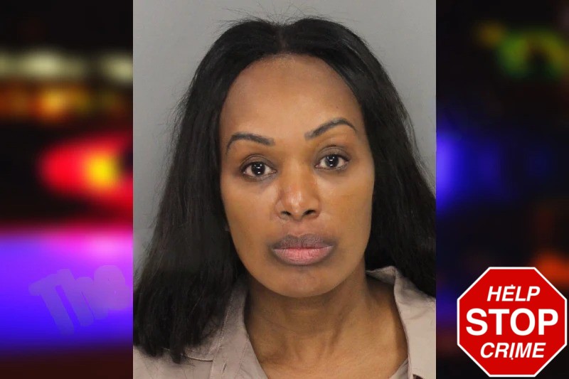 Christine Smith Mugshots