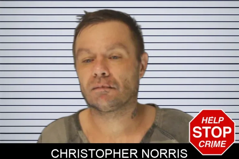 Christopher Norris
