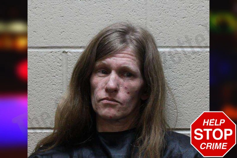 Christy Alladina Mugshots