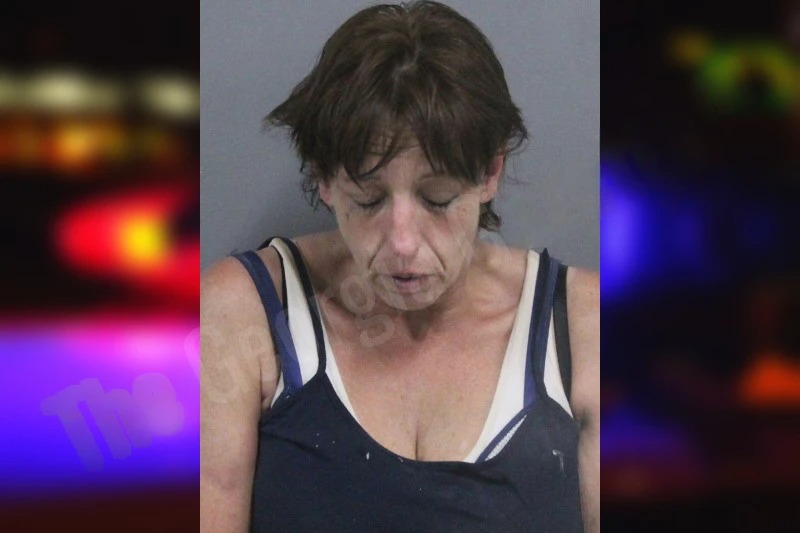 Christy Blevins mugshot