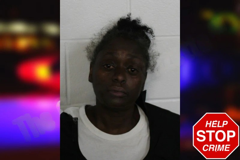 Christy Hudgins Mugshots