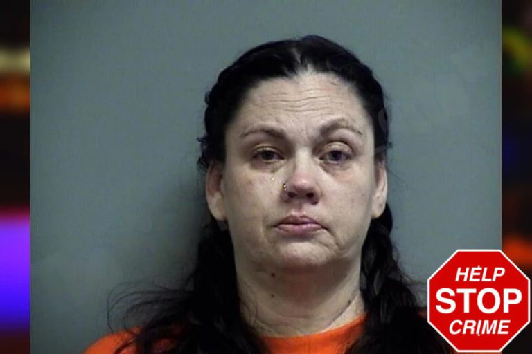 Christy Montgomery mugshot – Effingham County , Georgia Christy Montgomery