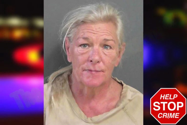 Christy Wickham-Armfield mugshot – Oconee County , Georgia Christy Wickham-Armfield