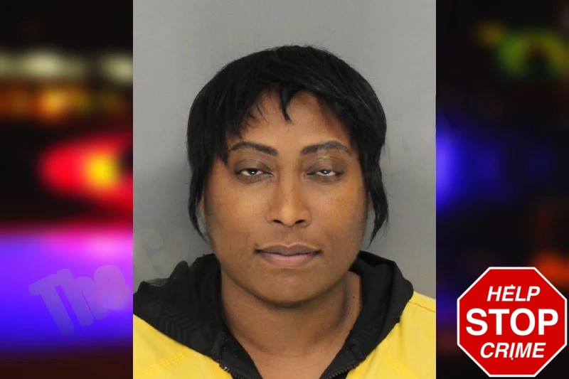 Cierra Mannie Mugshots