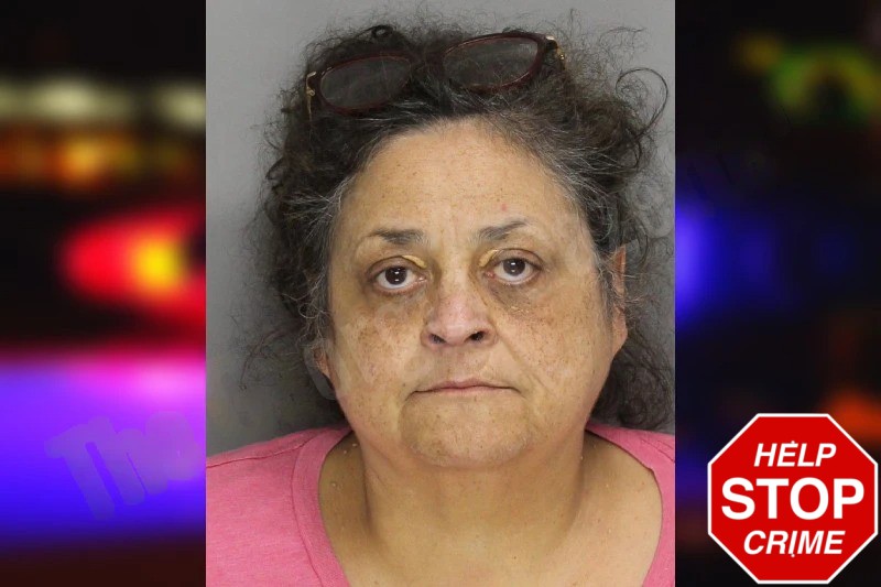 Cindy Corley Mugshots