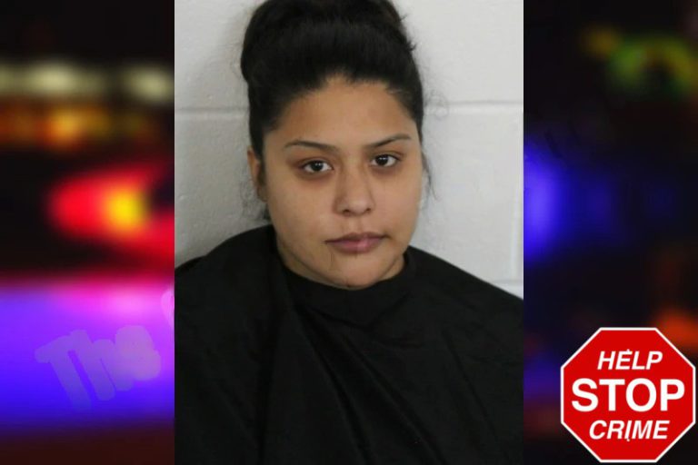 Cinthya Echols mugshot – Floyd County , Georgia Cinthya Echols