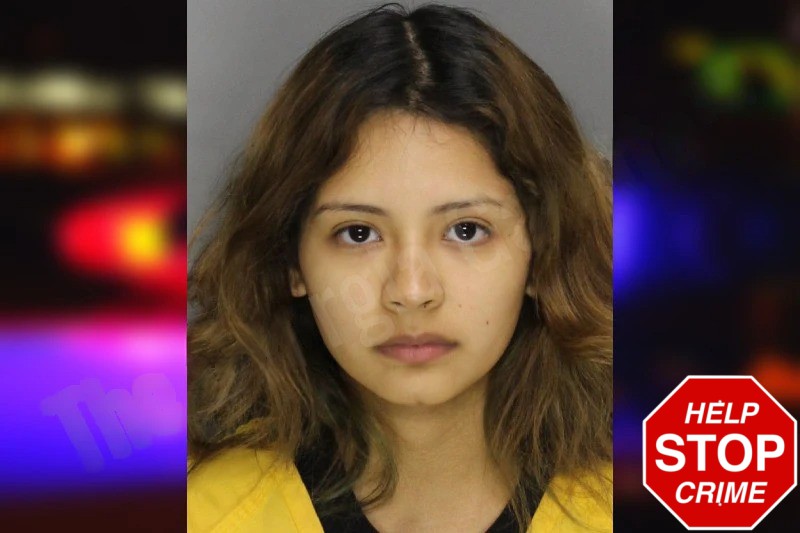 Clarita Alvarez mugshot