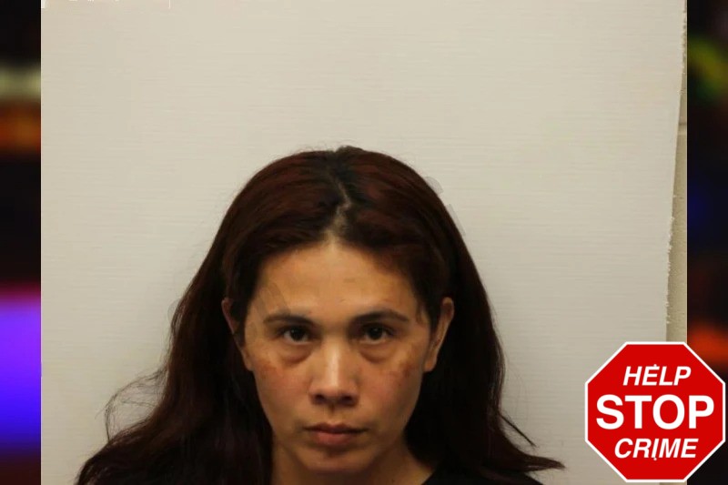 Claudia Gamarro-Ramirez Mugshots