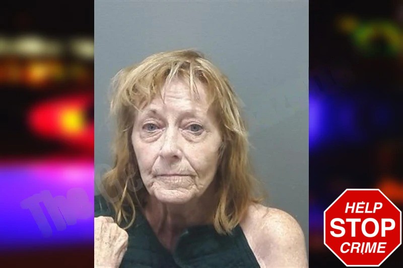 Colleen Walsh Mugshots