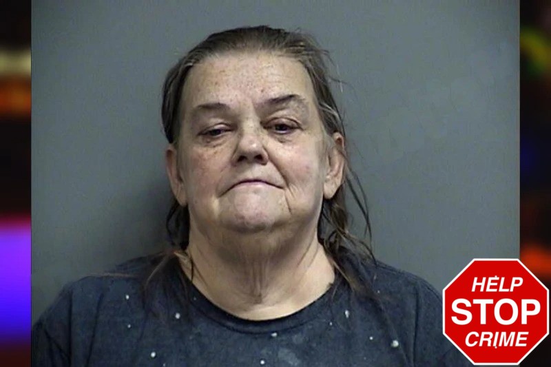 Connie Hamaker Mugshots