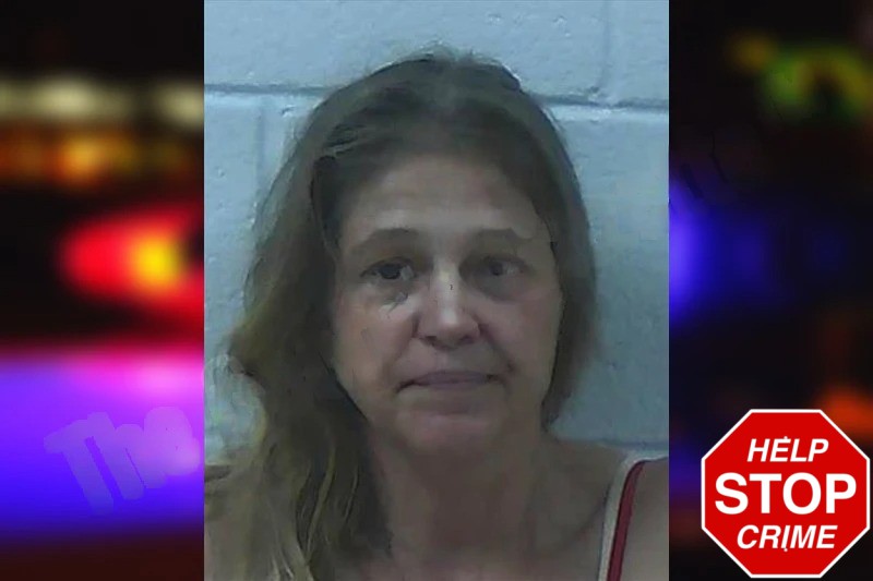 Connie Ryals Mugshots