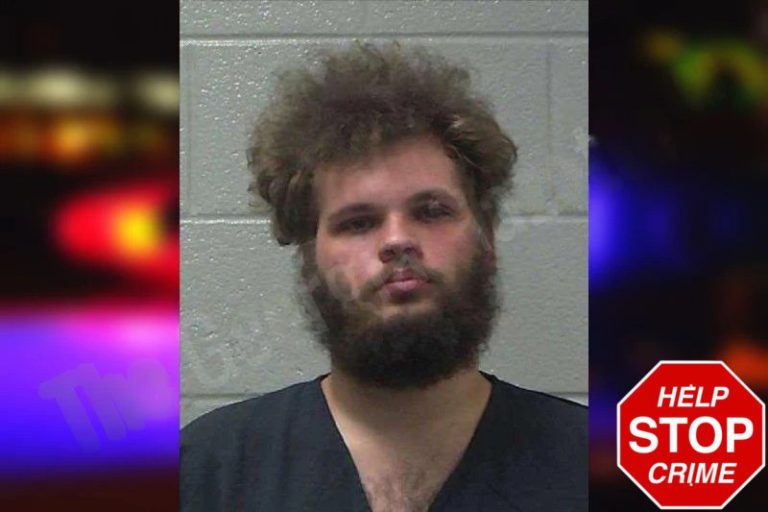 Connor Falis mugshot – Gilmer County , Georgia Connor Falis